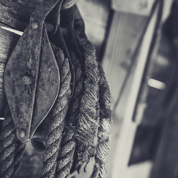 societe-3